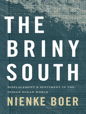 cover image of The Briny South